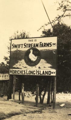 Swift Stream Duck Farm
